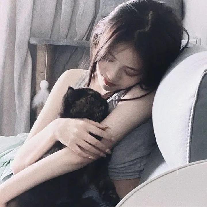 突尼斯的沙发